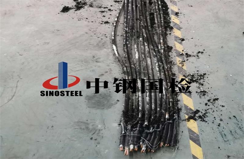 新國(guó)際機(jī)場(chǎng)主線(xiàn)站配電房完損性鑒定