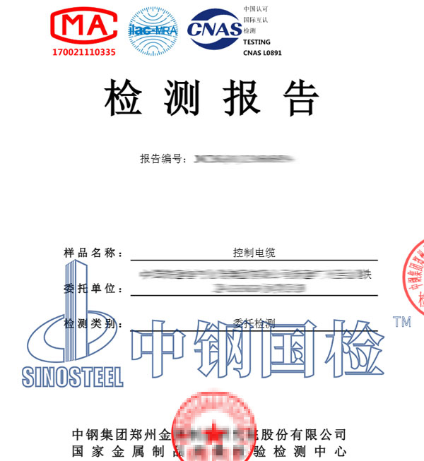 成束燃燒試驗檢測報告