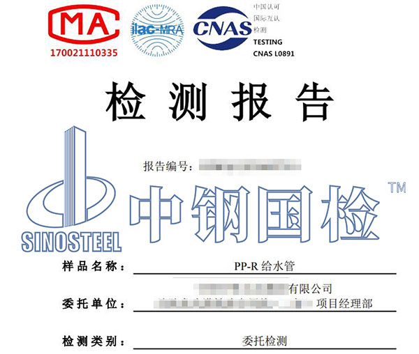 給水管檢測(cè)報(bào)告