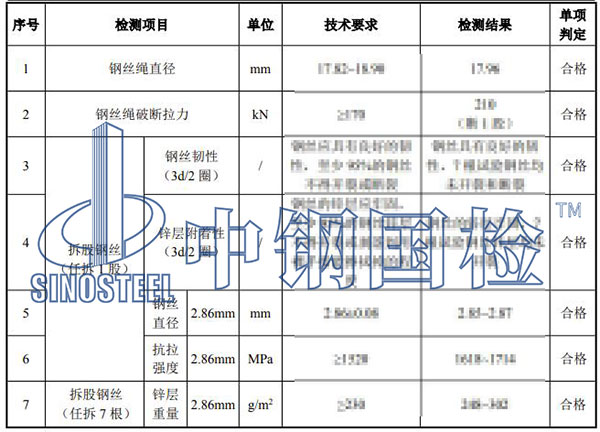 纜索檢測項目結果