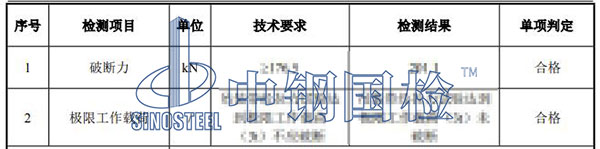 吊帶檢測項目結果